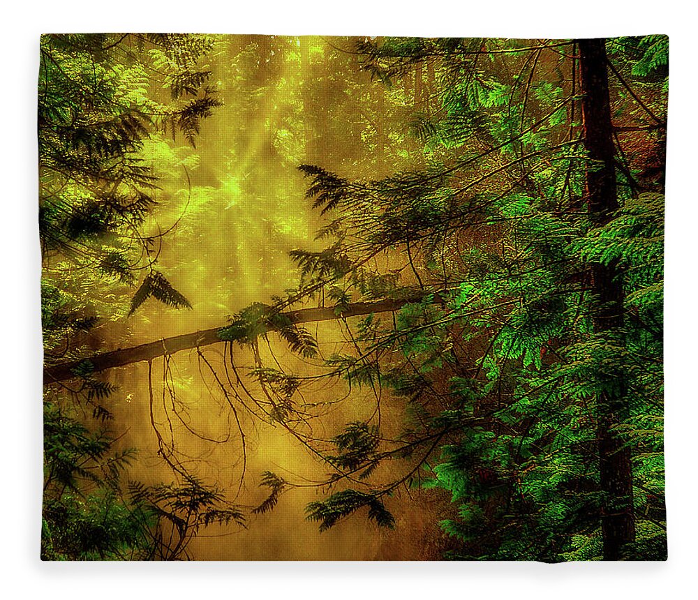Forest Fleece Blanket featuring the photograph Forest Mist by Dan Eskelson