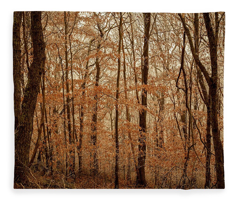 Trees Fleece Blanket featuring the photograph Forest View by Cindy Robinson