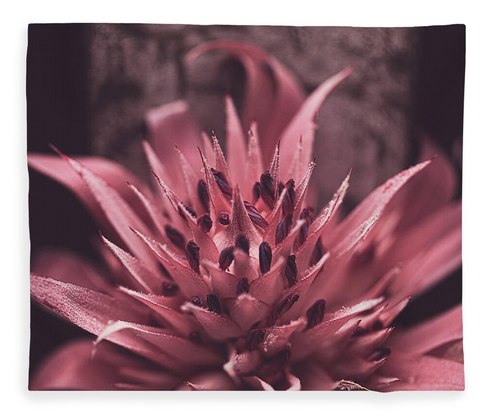 Mountain Fleece Blanket featuring the photograph Forgiveness Flower by Go and Flow Photos