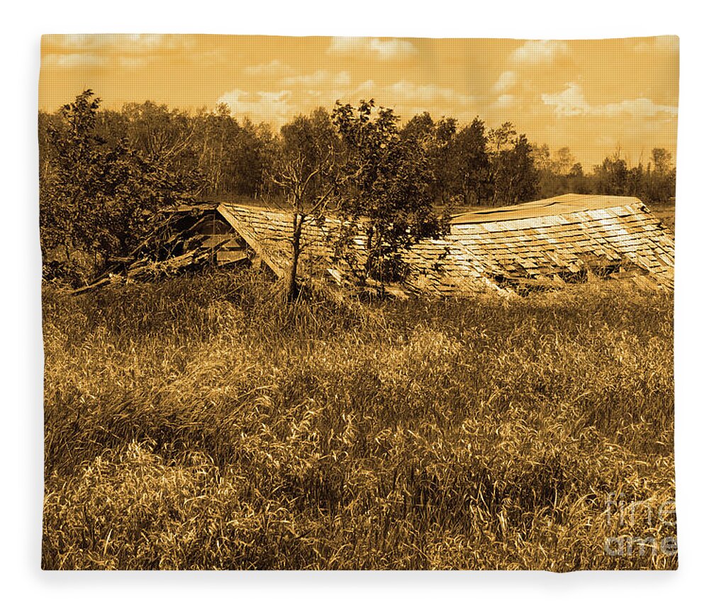 Family Fleece Blanket featuring the photograph Forgotten Root Cellar by Mary Mikawoz