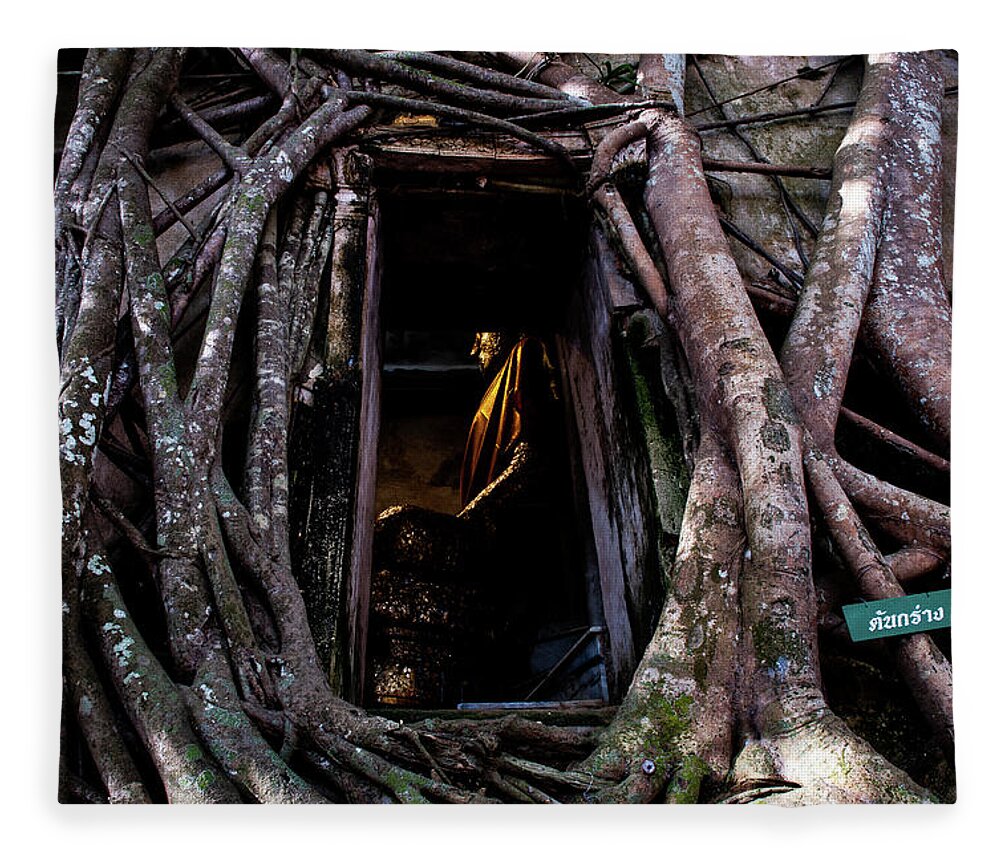 Banyan Fleece Blanket featuring the photograph Forgotten Temple - Wat Ban Kung, Thailand by Earth And Spirit