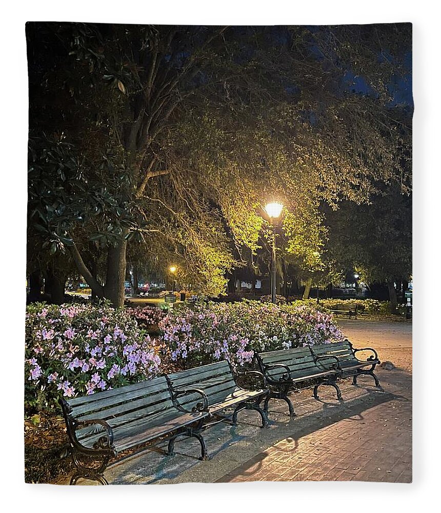 Park Fleece Blanket featuring the photograph Forsyth Benches by Barbara Von Pagel