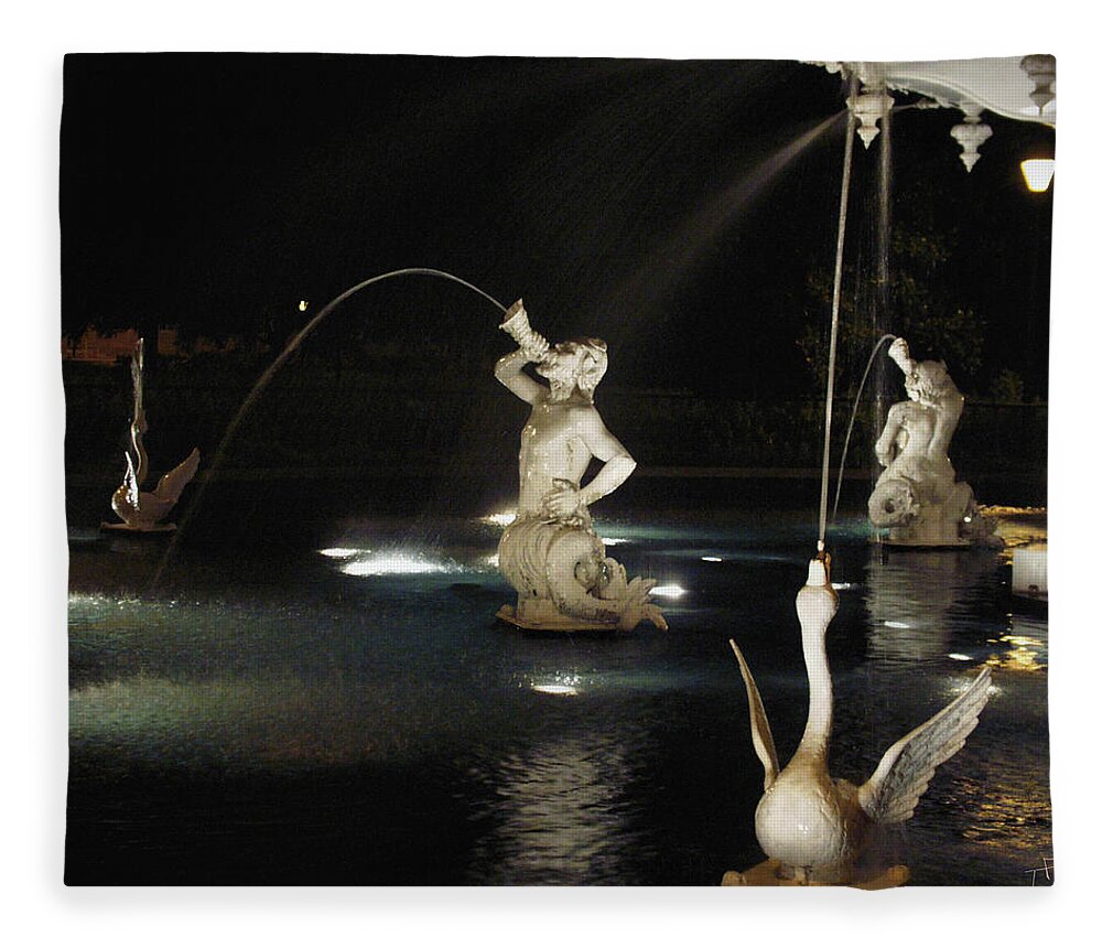 Night Fleece Blanket featuring the photograph Forsyth Mermaids and Swans by Theresa Fairchild
