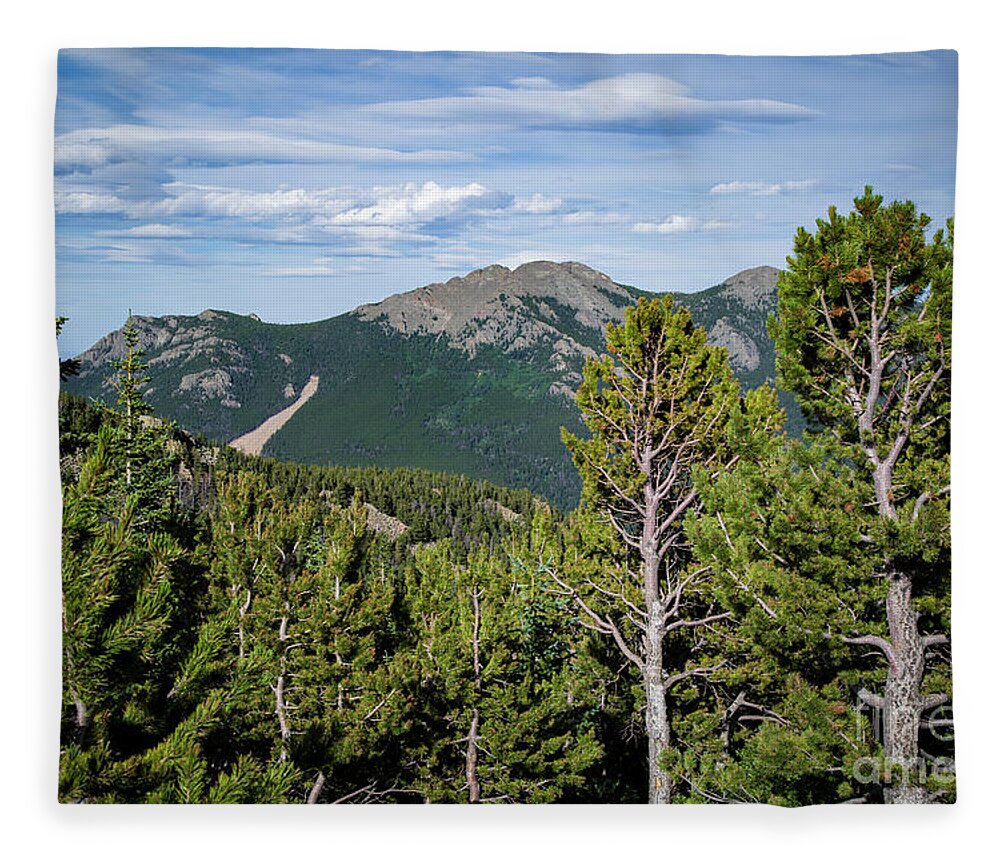 Colorado Fleece Blanket featuring the photograph Fresh Mountain Air by Erin Marie Davis