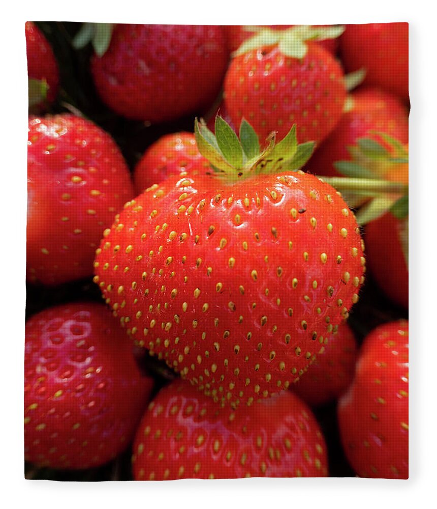 Strawberries Fleece Blanket featuring the photograph Fresh Strawberries by Karen Rispin