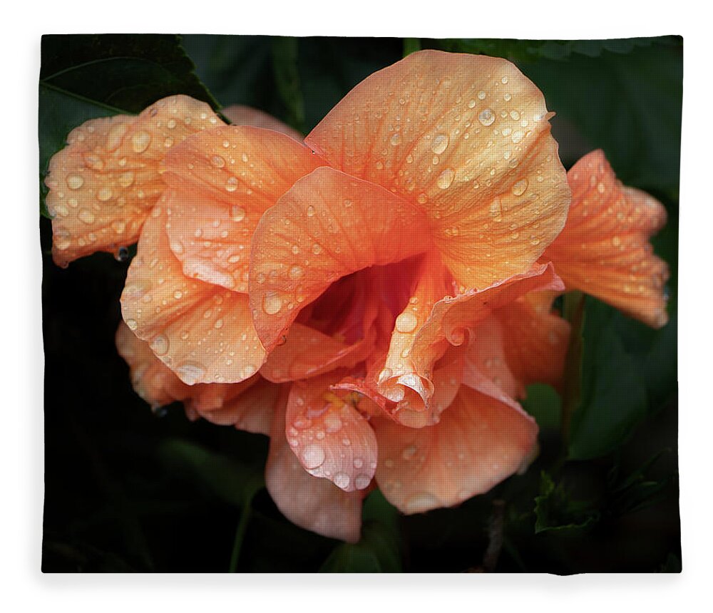 Flower Fleece Blanket featuring the photograph Frills by M Kathleen Warren
