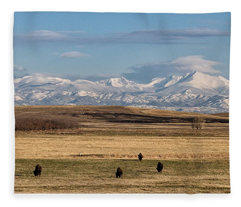 Bison Fleece Blanket featuring the photograph From the Great Plains to the Rocky Mountains by Tony Hake