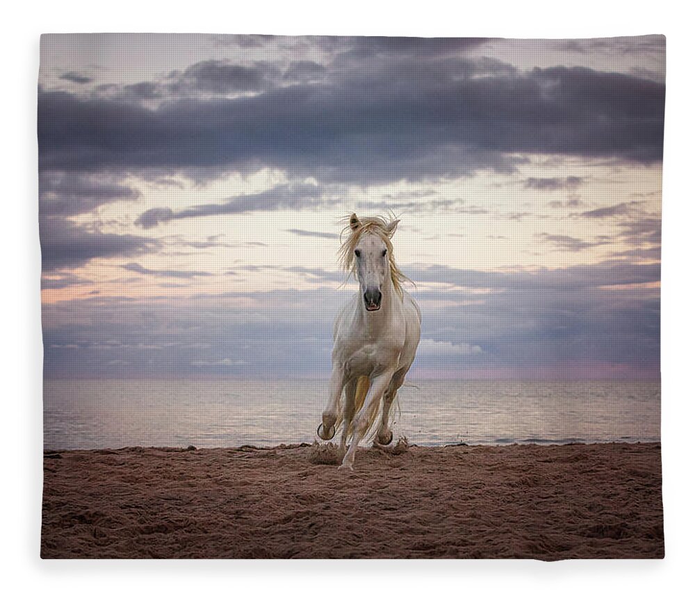 Photographs Fleece Blanket featuring the photograph From the Sea - Horse Art by Lisa Saint