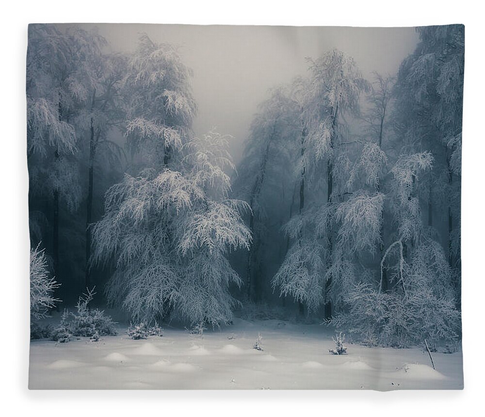 Mountain Fleece Blanket featuring the photograph Frozen Forest by Evgeni Dinev