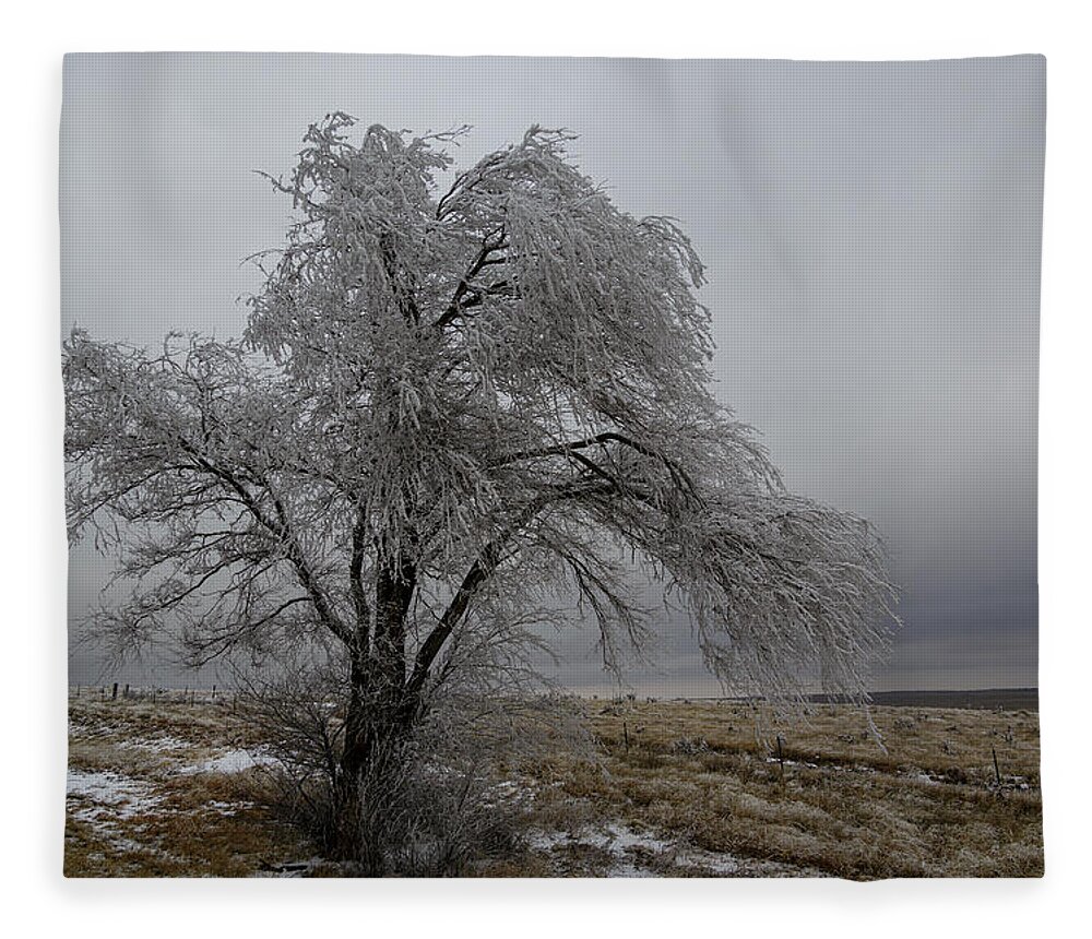 Frozen Fleece Blanket featuring the photograph Frozen Tree by Steve Templeton