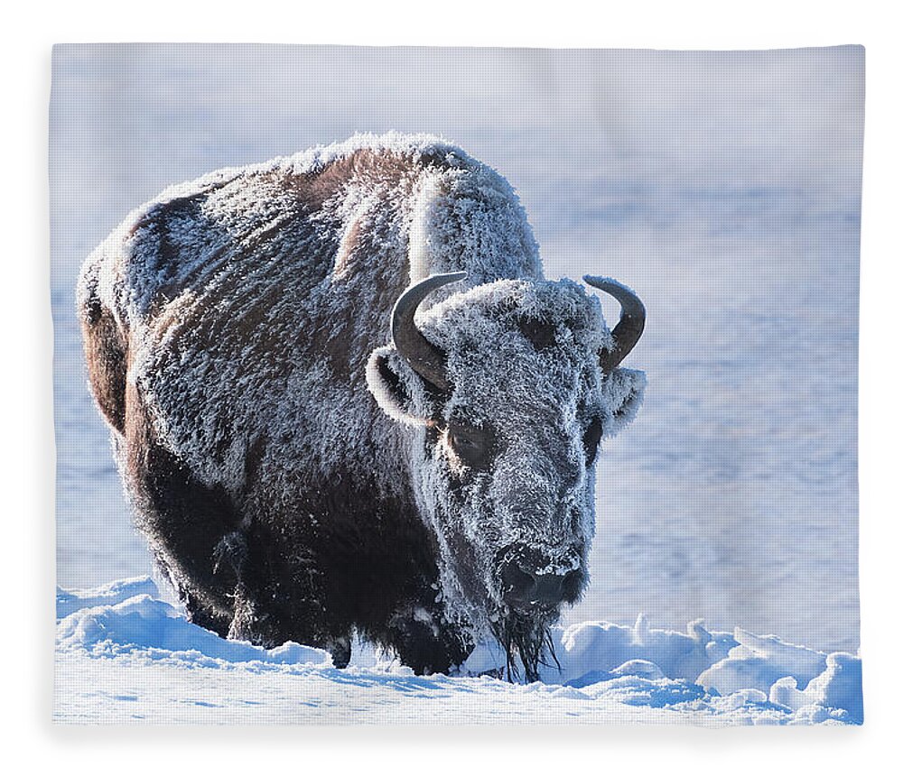 Bison Fleece Blanket featuring the photograph Frozen Bison by Linda Villers
