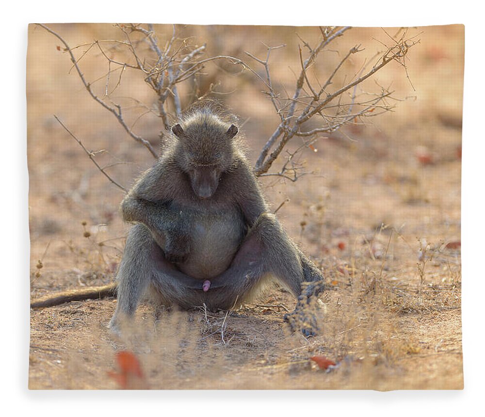 ZooFleece Monkey Green Primate Baboon Mammal Animal Cute Funny 50X60" Blanket 