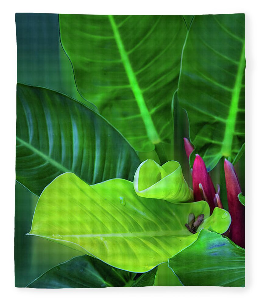 Philodendron Fleece Blanket featuring the photograph Garden Botanicals VIII by Debra and Dave Vanderlaan