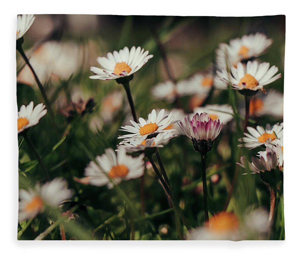 Garment Fleece Blanket featuring the photograph Garden full of white dancers by Vaclav Sonnek
