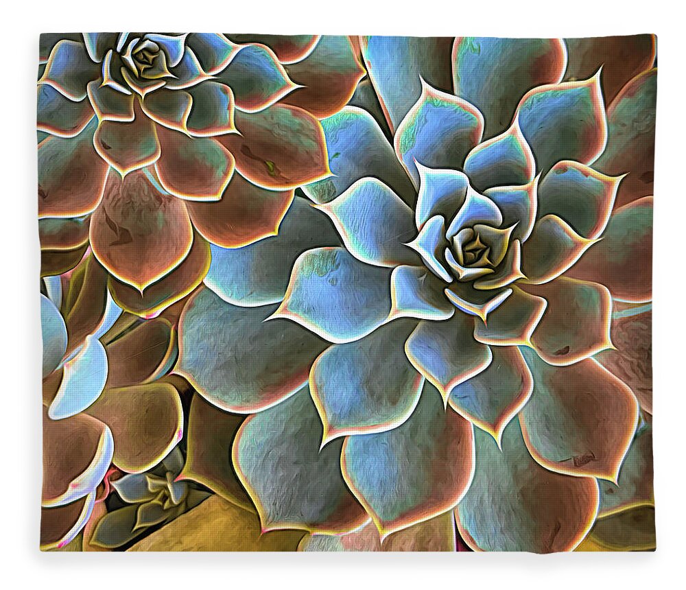 Florida Fleece Blanket featuring the photograph Garden Succulent Botanicals II Painting by Debra and Dave Vanderlaan