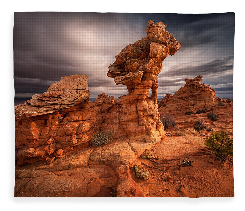 Cottonwood Cove Fleece Blanket featuring the photograph Gargoyle by Peter Boehringer