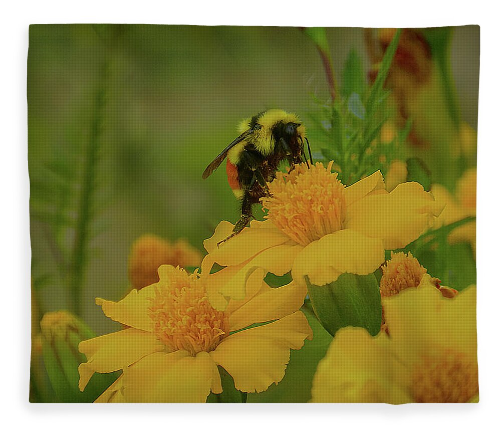 Bee Fleece Blanket featuring the photograph Happiness by Laura Putman