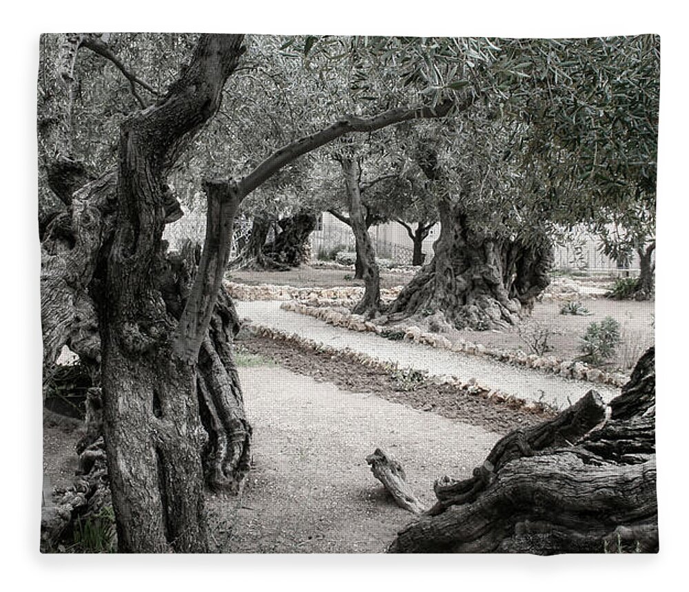 Israel Fleece Blanket featuring the photograph Gethsemane by M Kathleen Warren