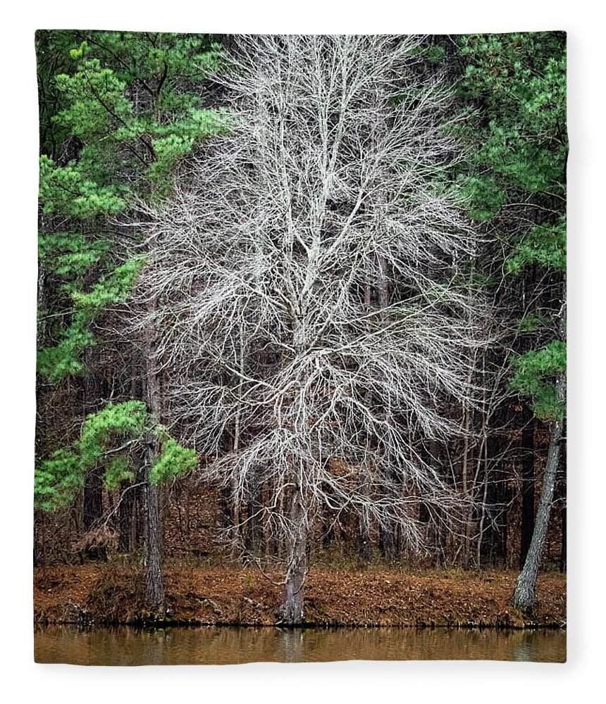 Tree Fleece Blanket featuring the photograph Ghostly Tree by Rick Nelson