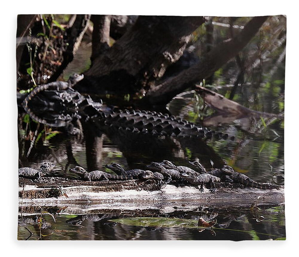 Alligator Fleece Blanket featuring the photograph Giant Mama Gator and 12 Tiny Babies by Mingming Jiang