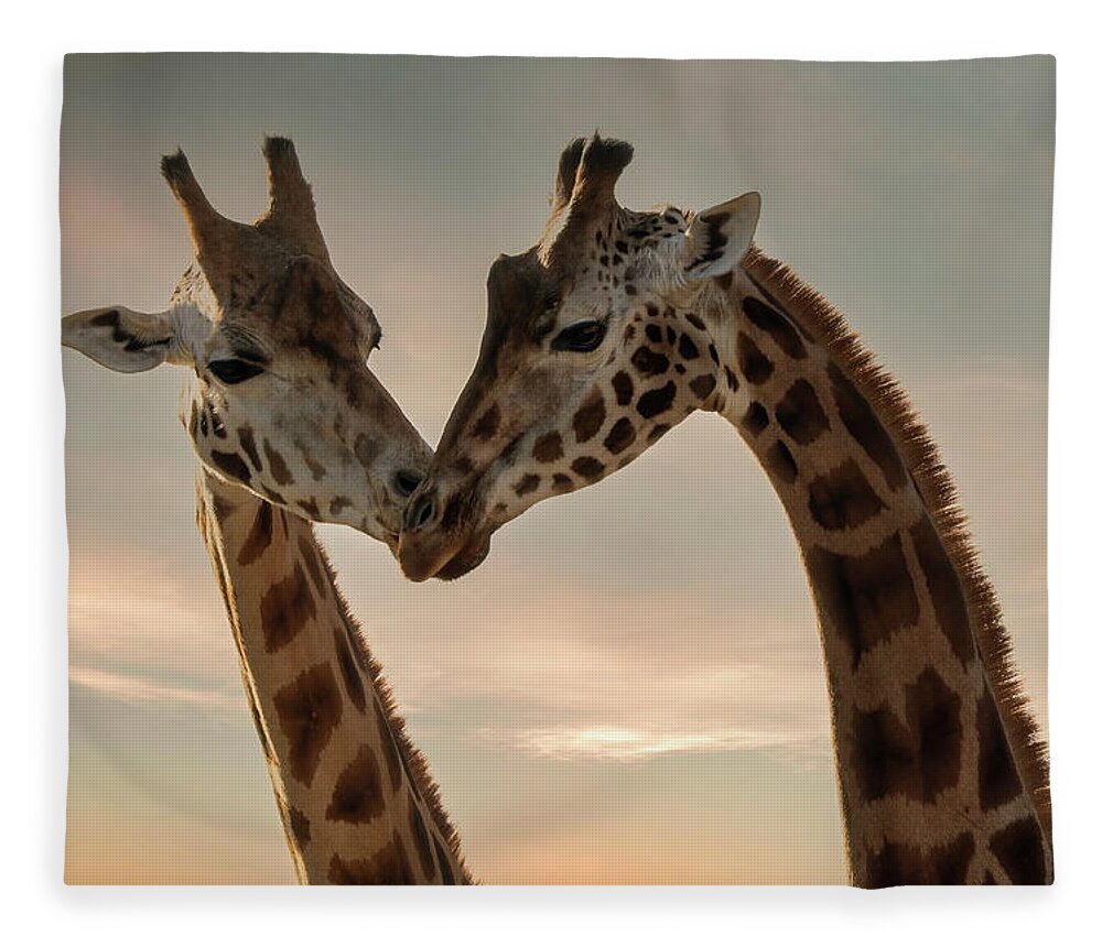 Giraffe Fleece Blanket featuring the digital art Giraffe love by Marjolein Van Middelkoop
