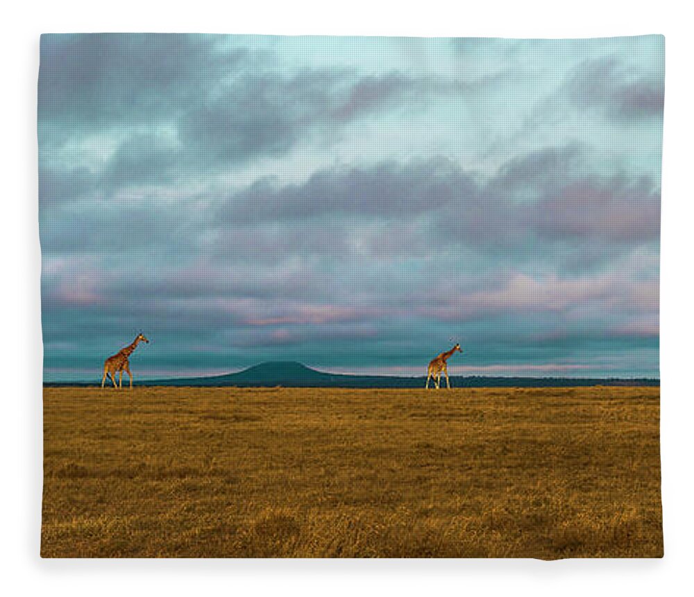 Africa Fleece Blanket featuring the photograph Giraffe Parade at Sunset by Laura Hedien