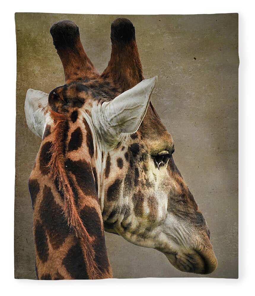 Giraffe Portrait Fleece Blanket featuring the photograph Giraffe by Rebecca Herranen