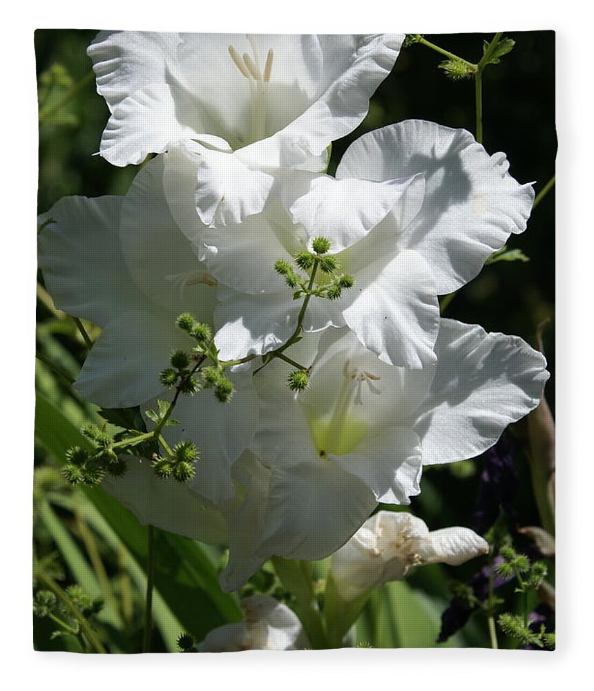  Fleece Blanket featuring the photograph Gladiolus by Heather E Harman