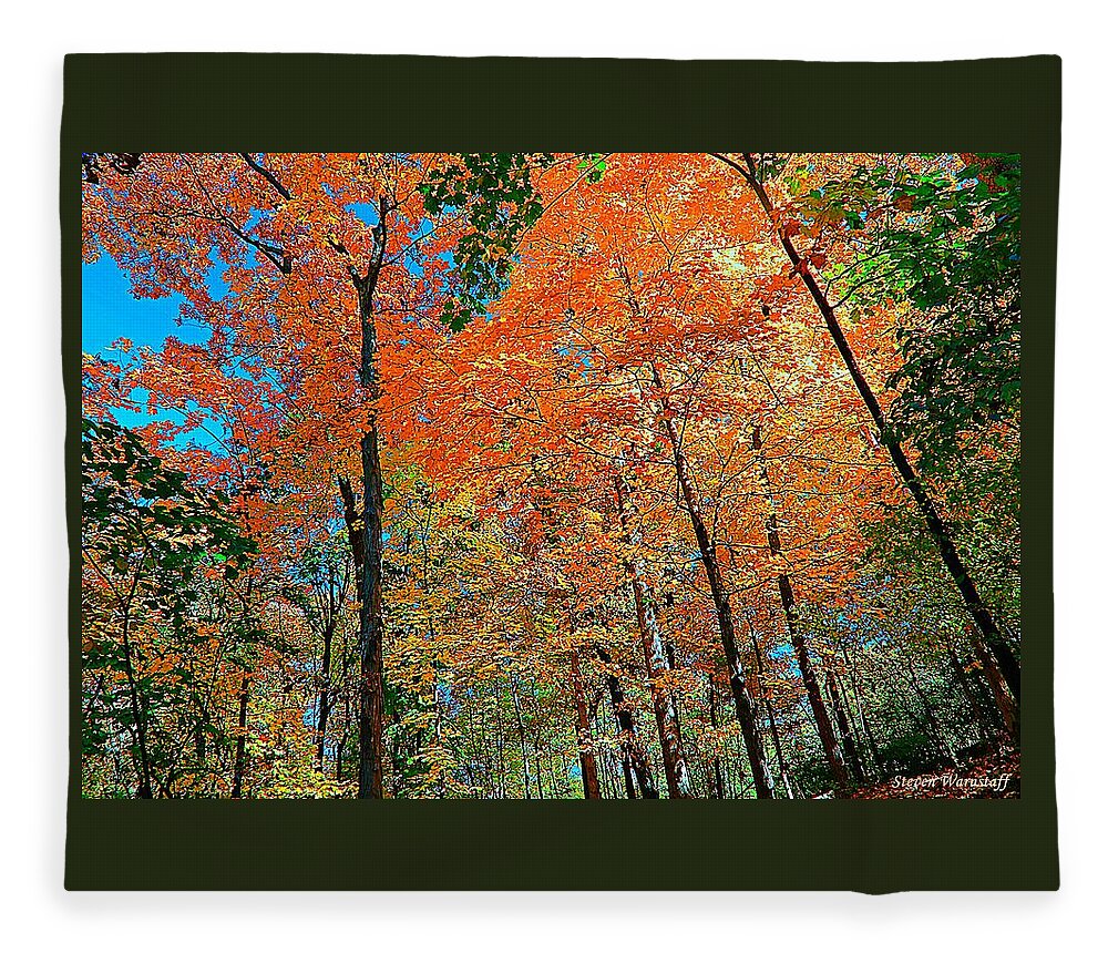 Forest Fleece Blanket featuring the photograph Glory by Steve Warnstaff