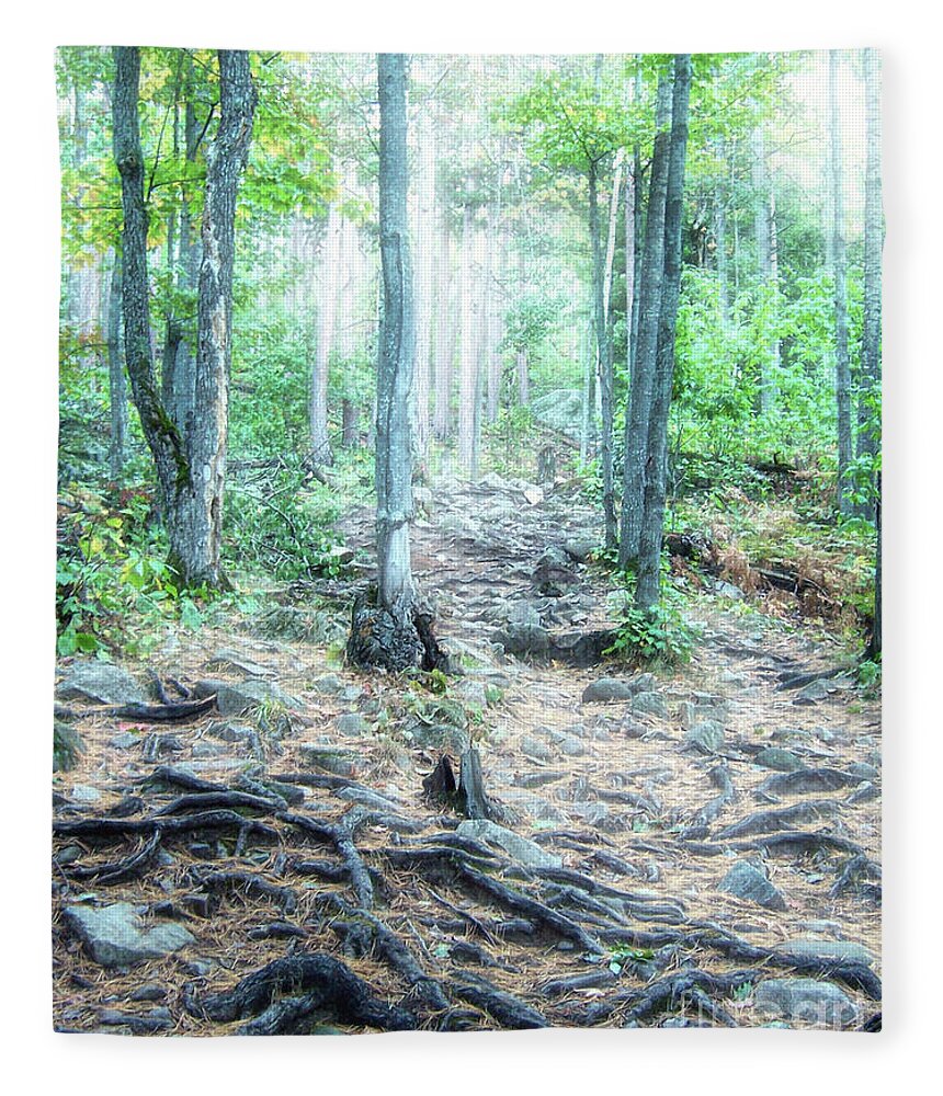 Sugarloaf Mountain Fleece Blanket featuring the photograph Glowing Forest Trail by Phil Perkins