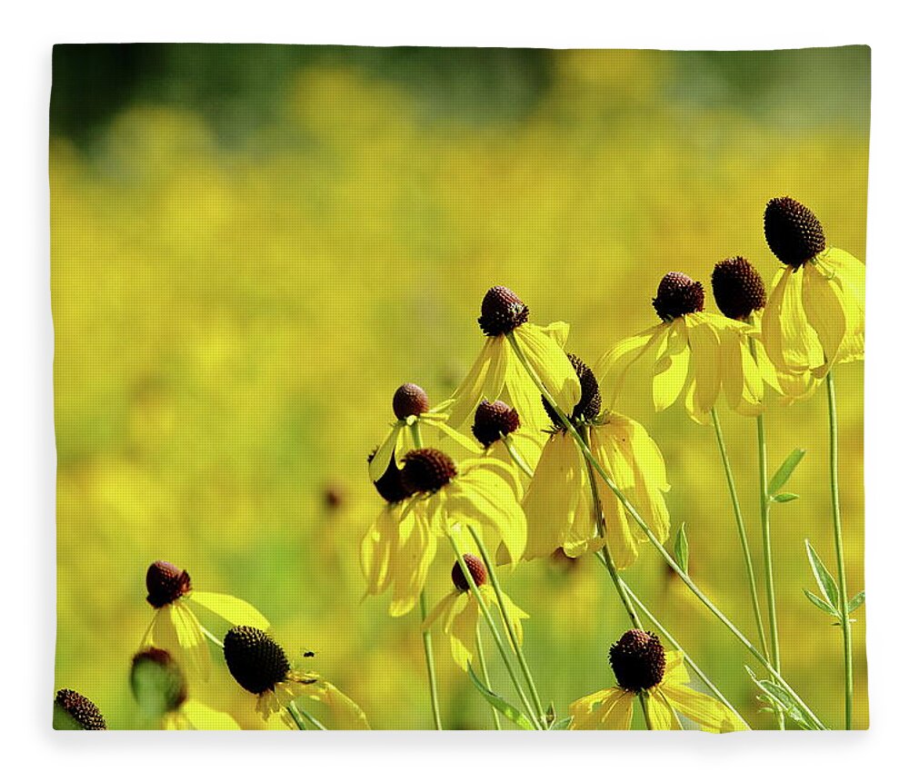 Nature Fleece Blanket featuring the photograph Glowing Golden Prairie by Lens Art Photography By Larry Trager