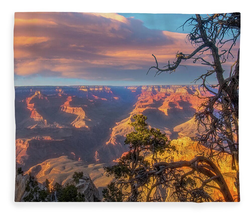 Arizona Fleece Blanket featuring the photograph Gnarled juniper on Canyon Rim by Jeff Folger