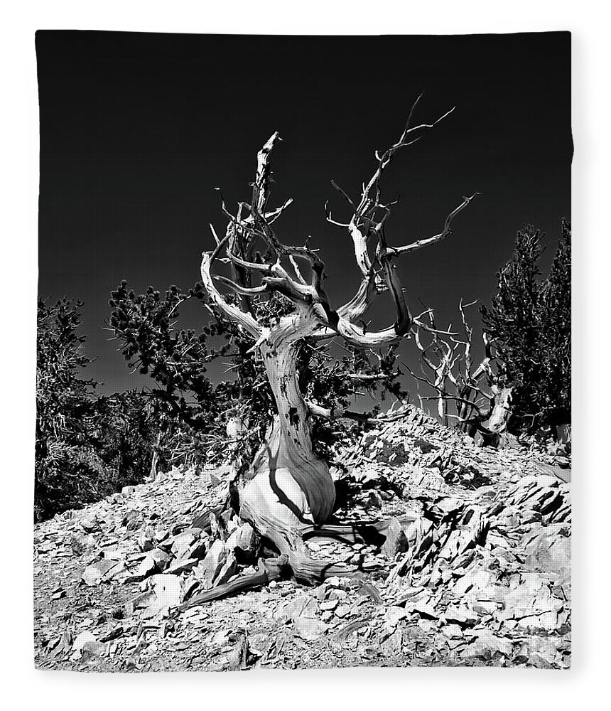 Ca Fleece Blanket featuring the photograph Gnarled Reach by American Landscapes