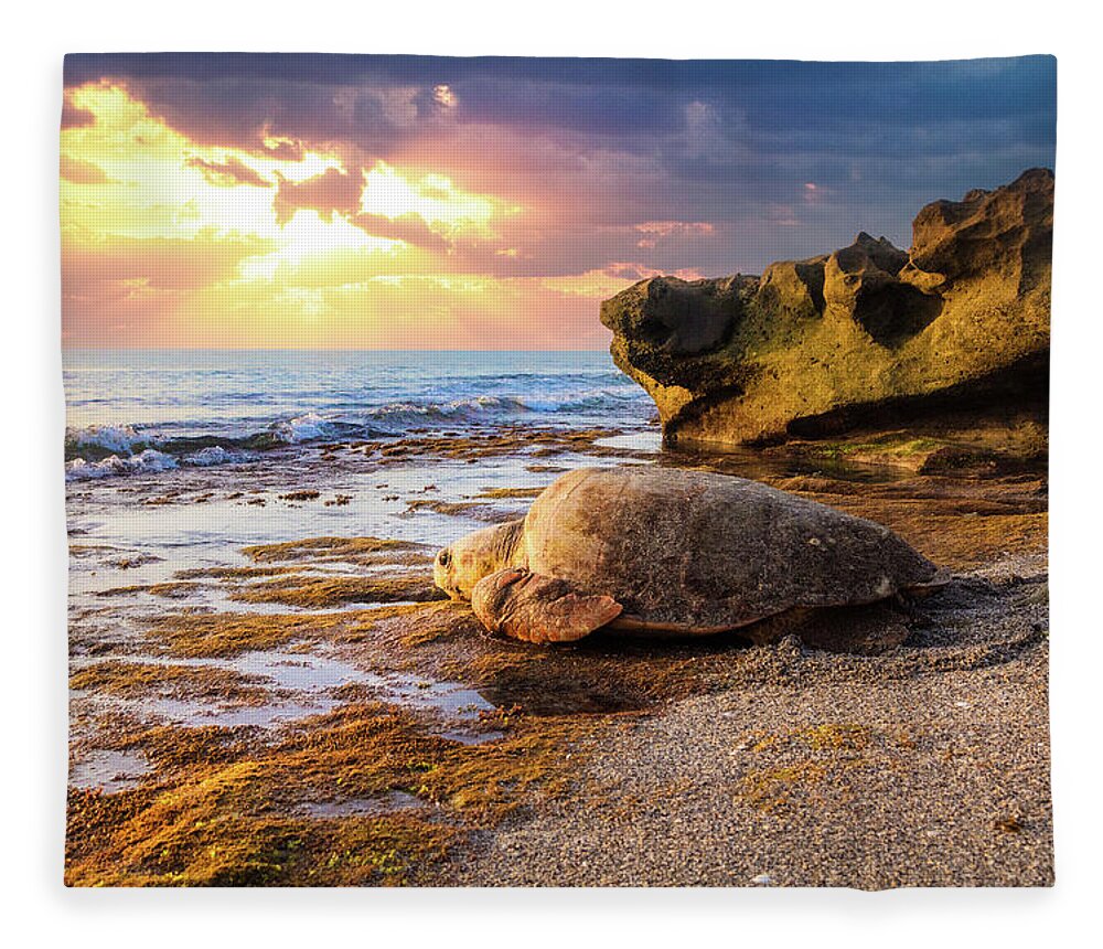 Turtle Fleece Blanket featuring the photograph Going Back to Sea by Debra and Dave Vanderlaan