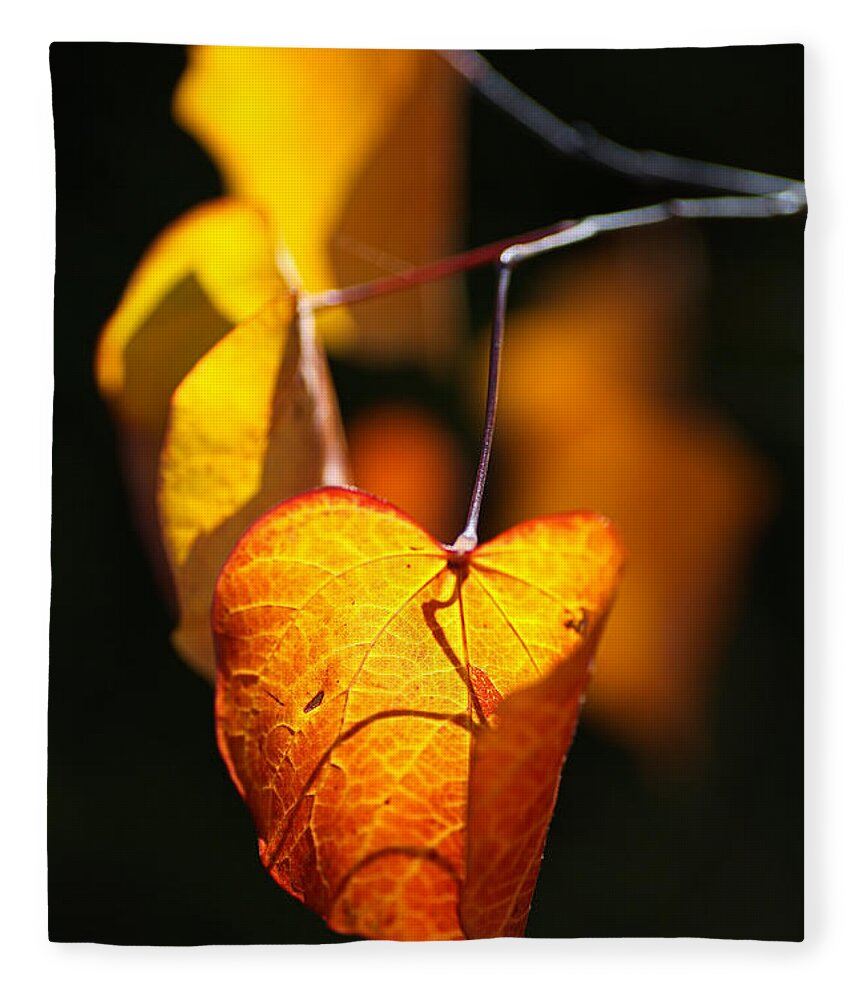 Golden Autumn Leaves Fleece Blanket featuring the photograph Golden Autumn Leaves by Joy Watson