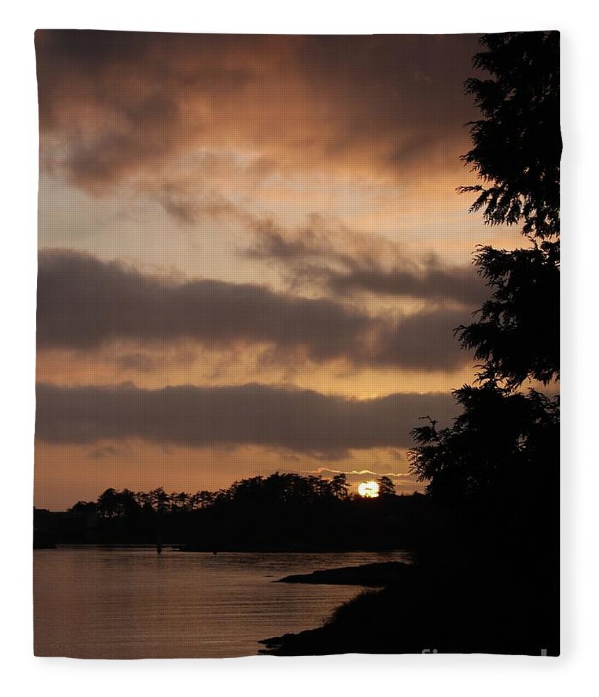 Victoria Fleece Blanket featuring the photograph Golden Moment by Kimberly Furey