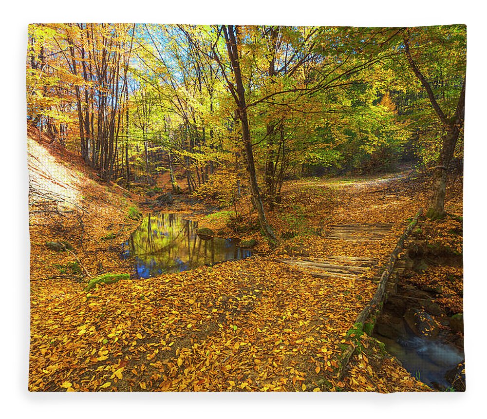 Bulgaria Fleece Blanket featuring the photograph Golden River by Evgeni Dinev