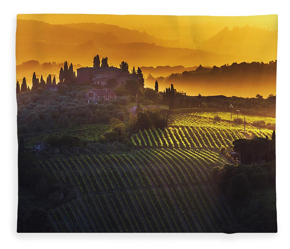 Italy Fleece Blanket featuring the photograph Golden Tuscany by Evgeni Dinev