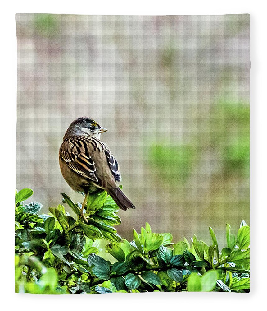 Bird Fleece Blanket featuring the photograph Golden-crowned by Kate Brown