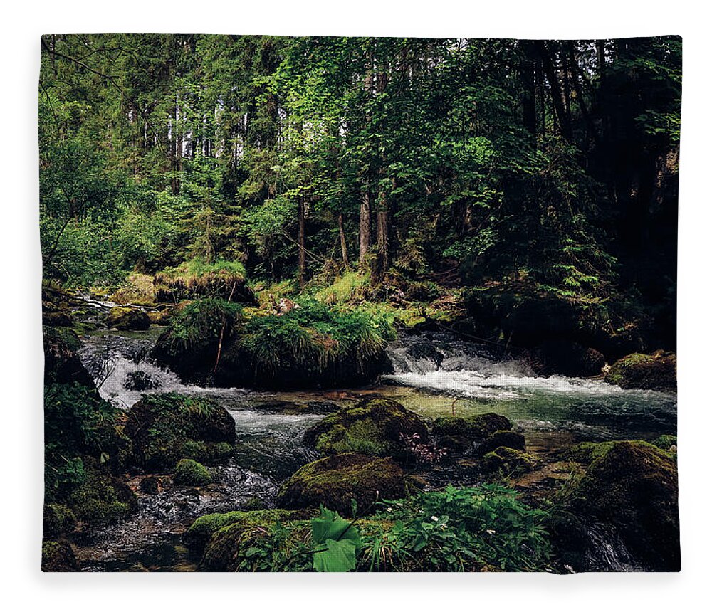 Path Fleece Blanket featuring the photograph Gollinger Wasserfalls by Vaclav Sonnek