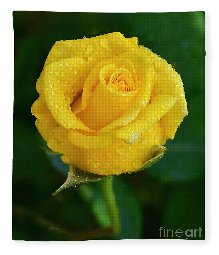 Gorgeous Misty Yellow Rose Fleece Blanket featuring the photograph Gorgeous Misty Yellow Rose by Patrick Witz