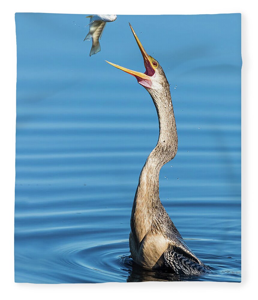 Donnelley Wma Fleece Blanket featuring the photograph Gotcha by Jim Miller