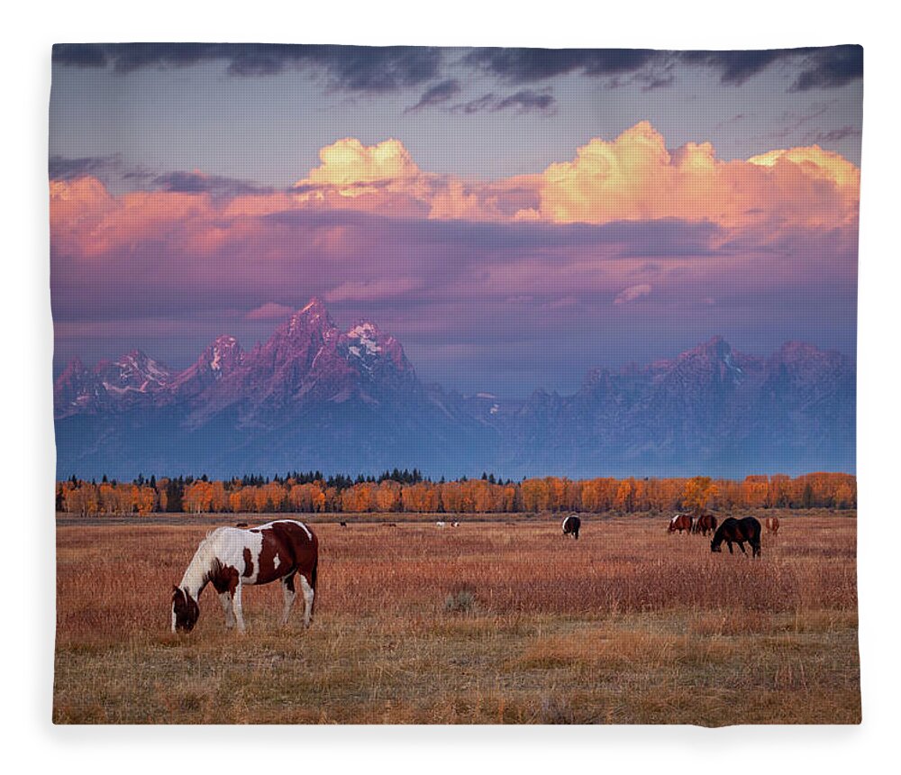 Grand Tetons Fleece Blanket featuring the photograph Grand Teton Pasture by Wesley Aston
