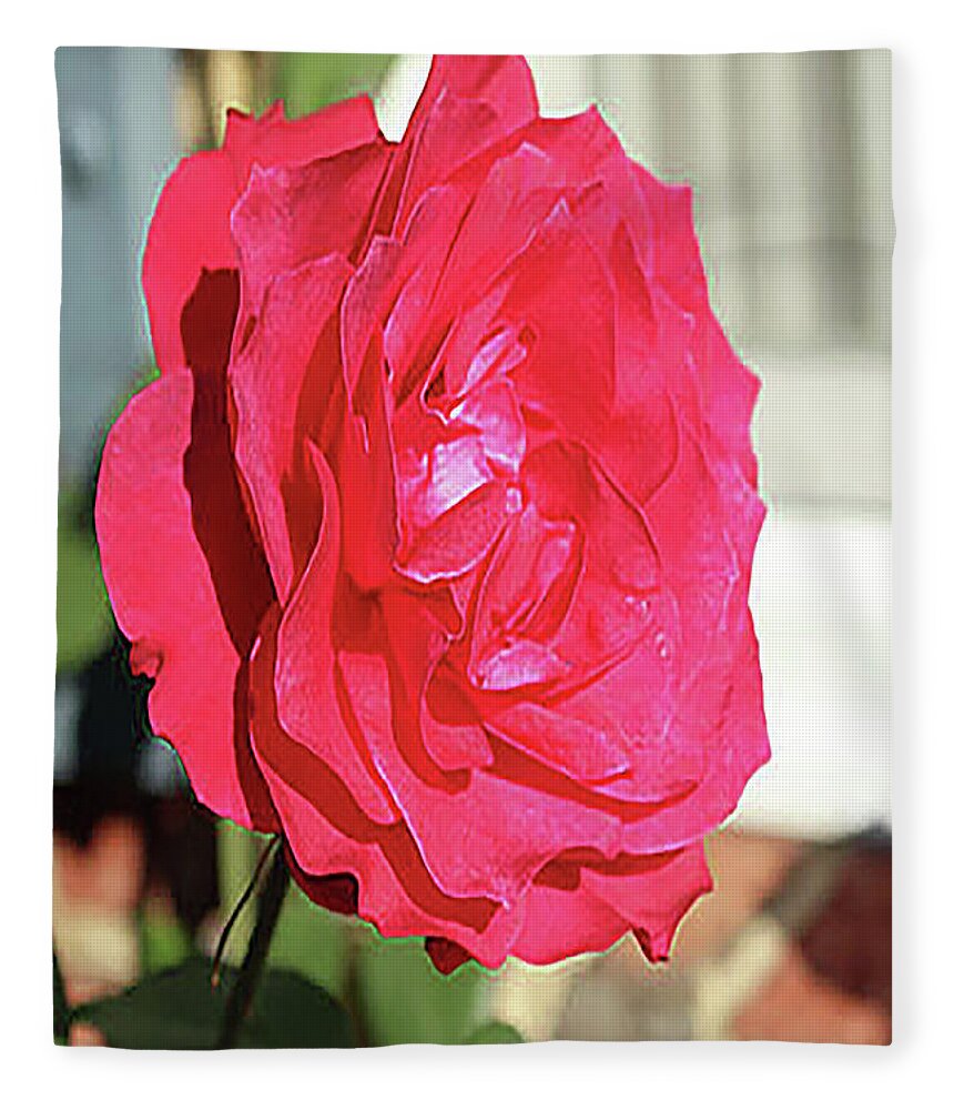 Rose Fleece Blanket featuring the digital art Grandma's Rose by Linda Ritlinger