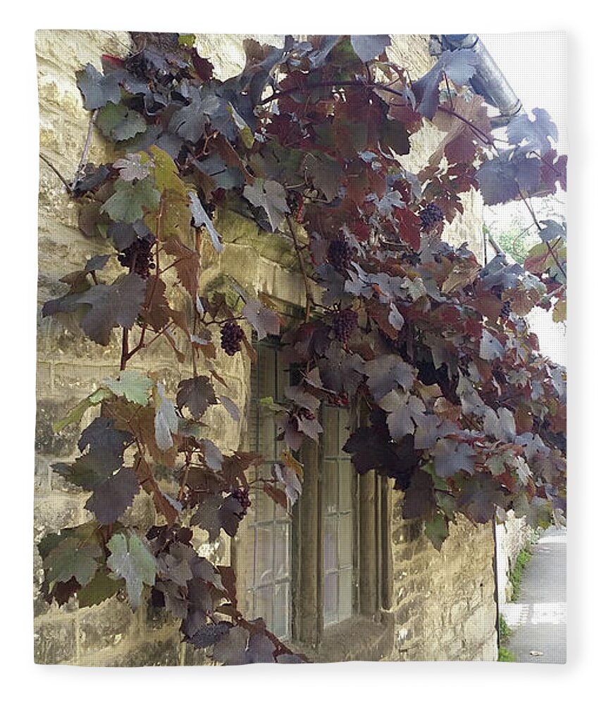 Grapevines Fleece Blanket featuring the painting Grapes over the Window in Wiltshire by Roxy Rich