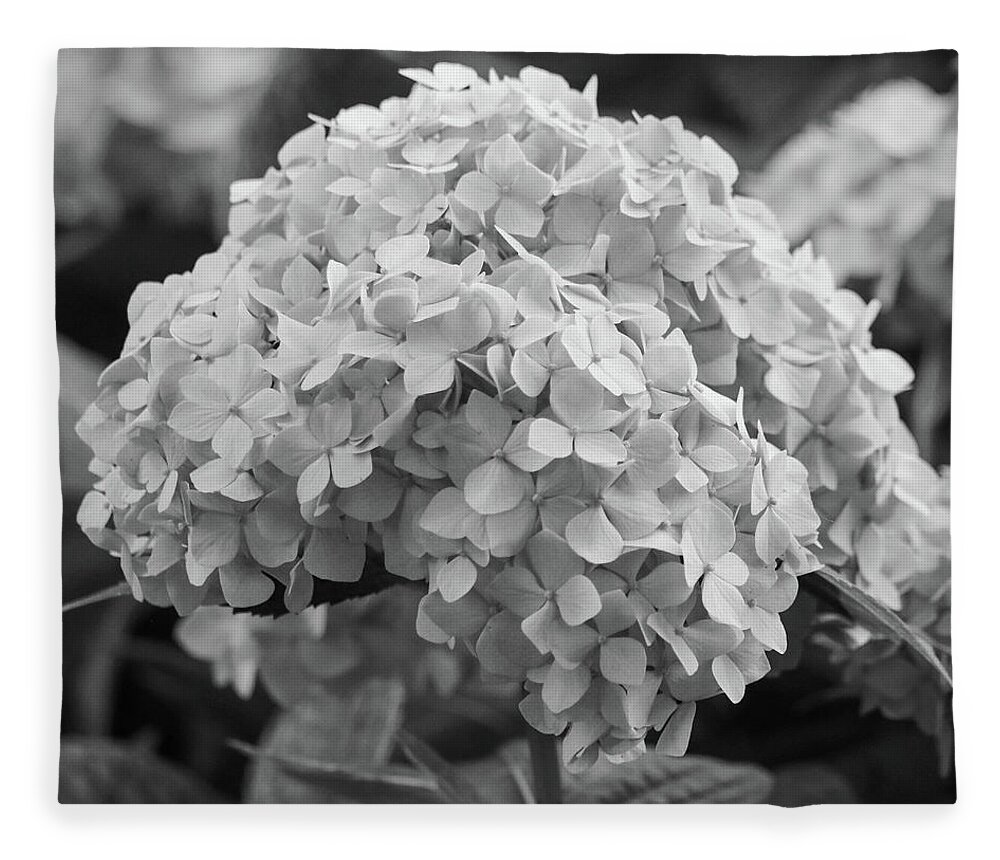 Hydrangea Fleece Blanket featuring the photograph Grayscale Hydrangea Bloom by Mary Anne Delgado