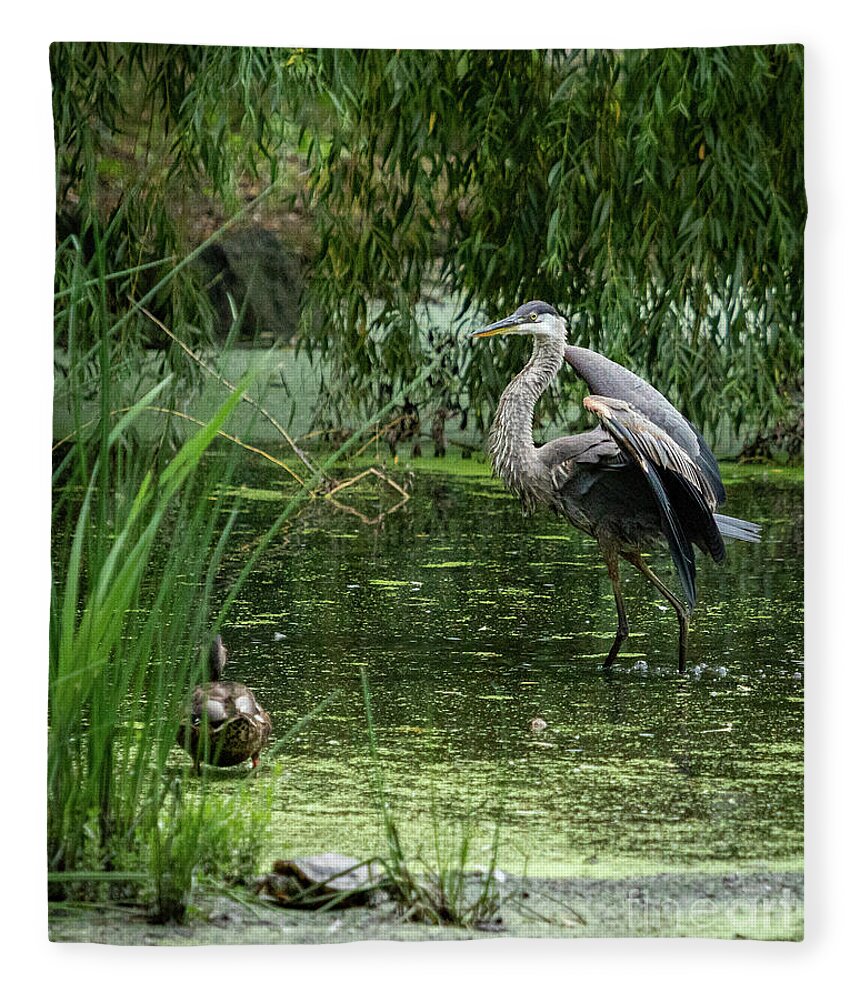 Great Blue Heron Fleece Blanket featuring the photograph Great Blue Heron by Alyssa Tumale