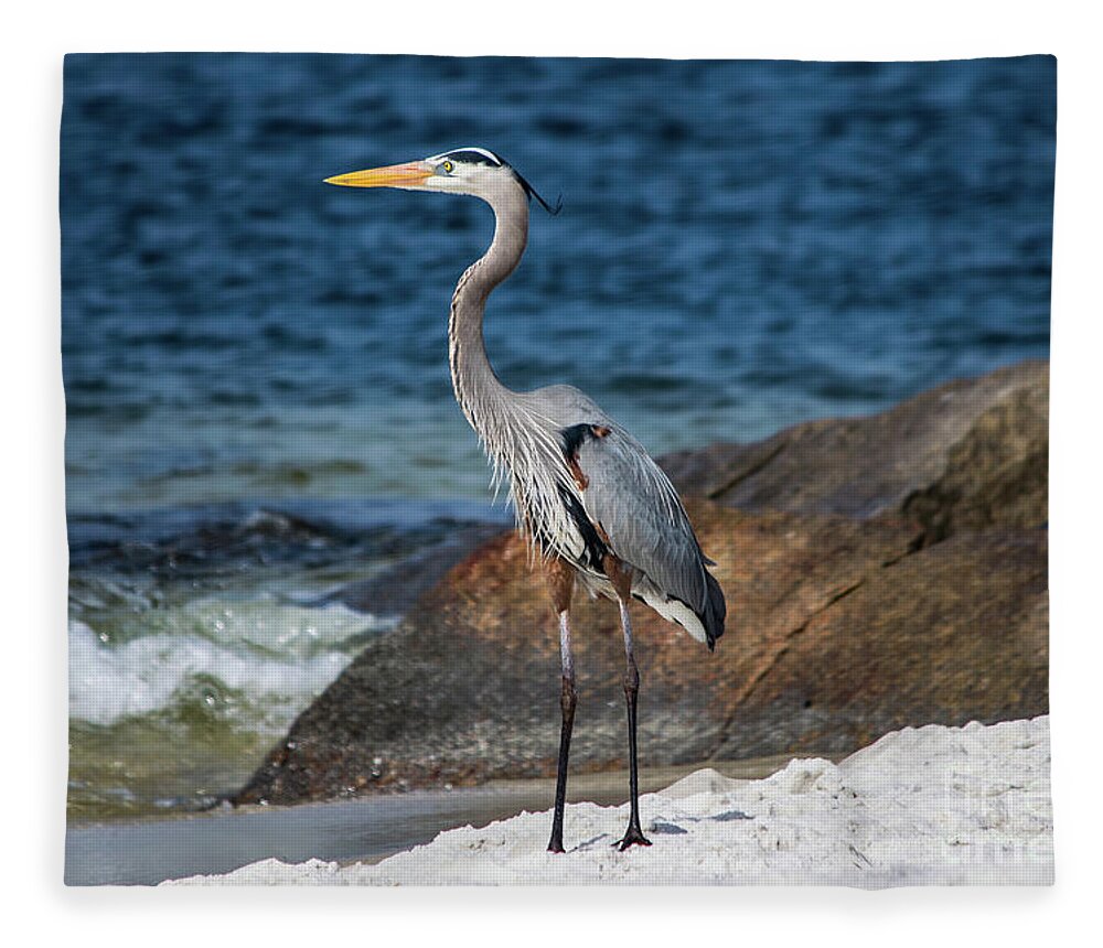 Great Fleece Blanket featuring the photograph Great Blue Heron Striking a Pose by Beachtown Views