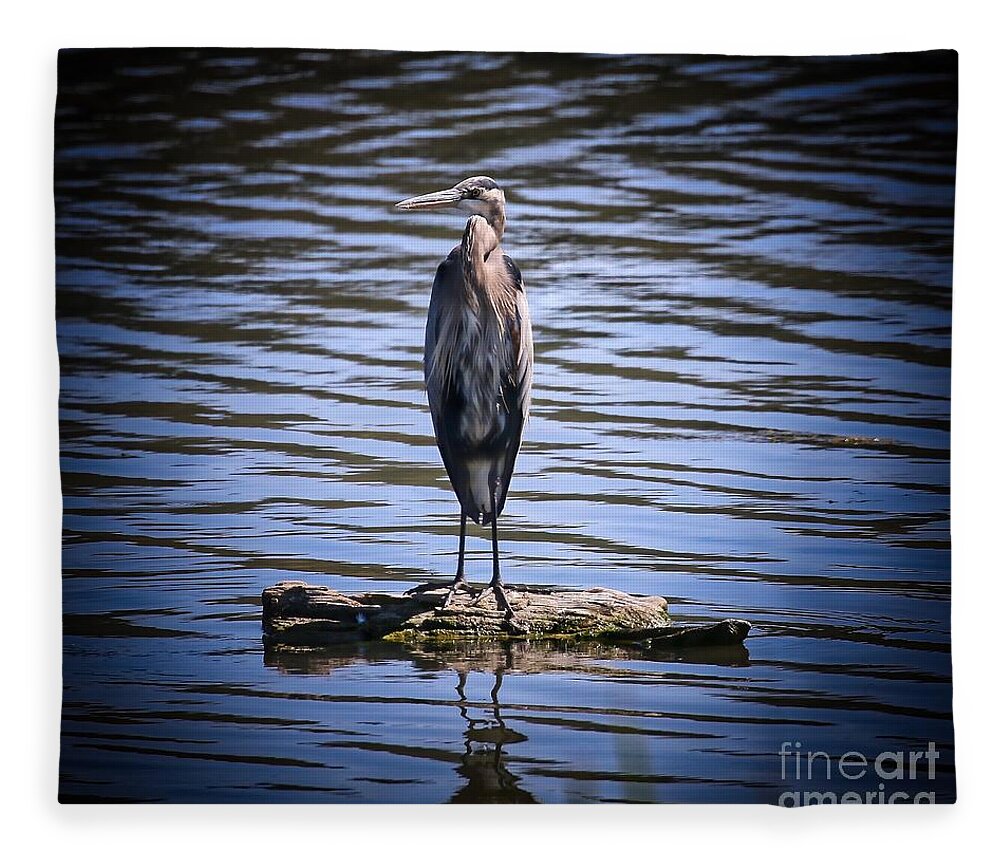 Heron Fleece Blanket featuring the photograph Great Blue Heron by Veronica Batterson