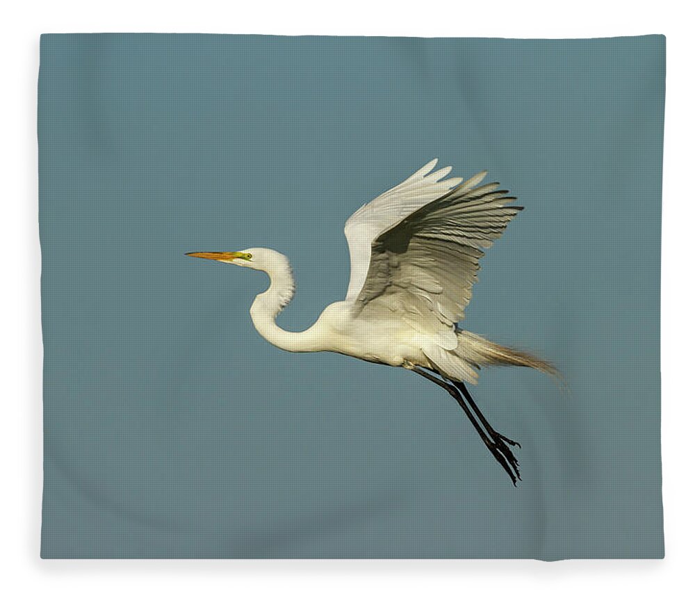 Great Egret Fleece Blanket featuring the photograph Great Egret 2014-12 by Thomas Young